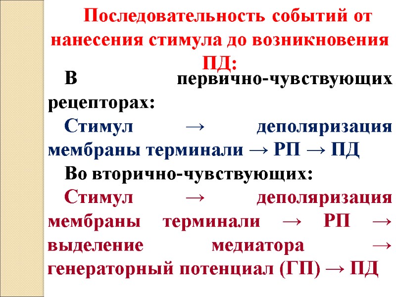 Последовательность событий от нанесения стимула до возникновения ПД: В первично-чувствующих рецепторах: Стимул → деполяризация